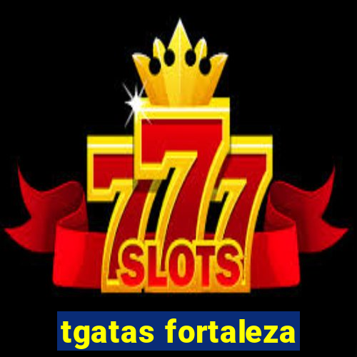 tgatas fortaleza